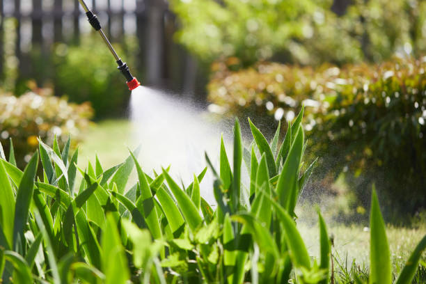 Tamper-Resistant Bait Stations for Rodents in Brookside
