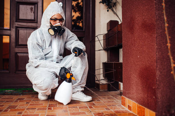 Attic and Crawl Space Rodent Treatment in Brookside