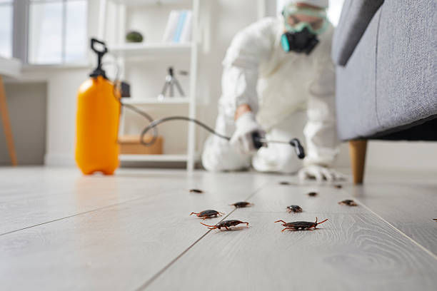 Commercial Rodent Management in Brookside